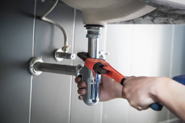 Best Residential Plumbing Services  in Carson City, MI